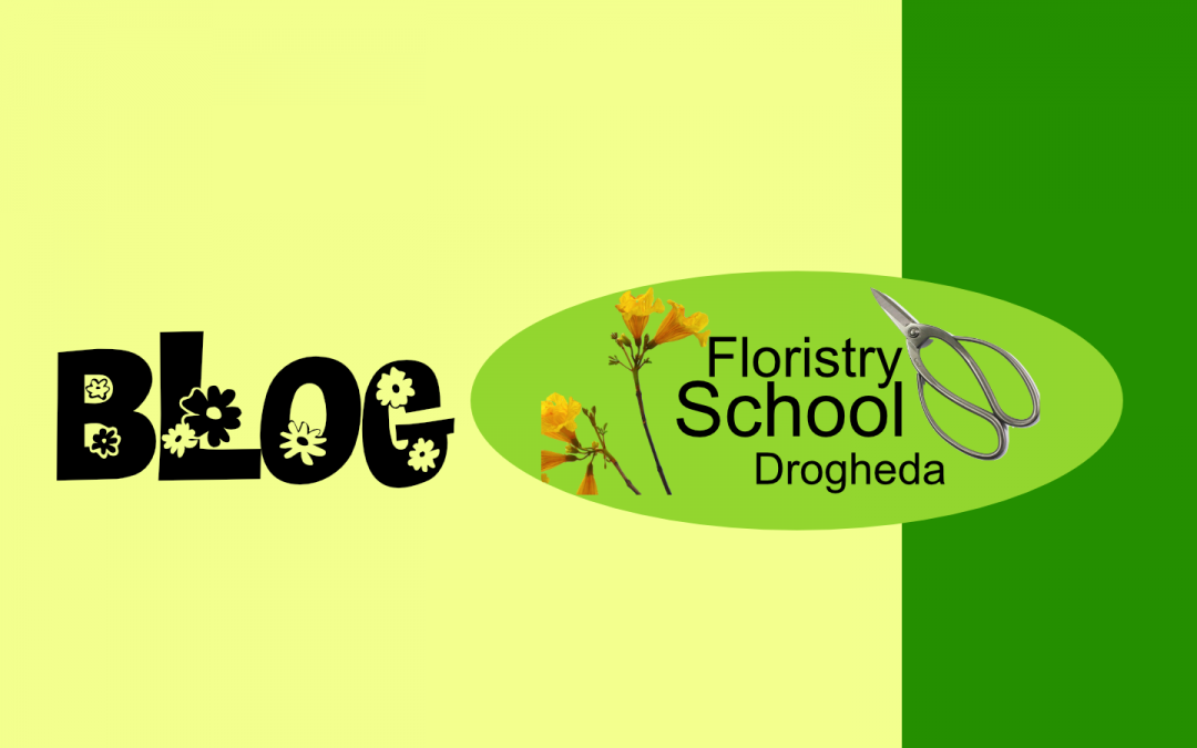 Environmental awareness and sustainable floristry